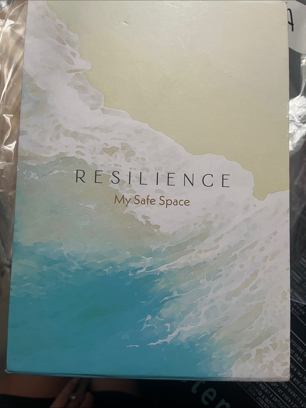 Resilience my safe space deck, and stand comes in nice box. Great for a gift.